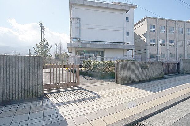 中学校 692m 南足柄市立南足柄中学校