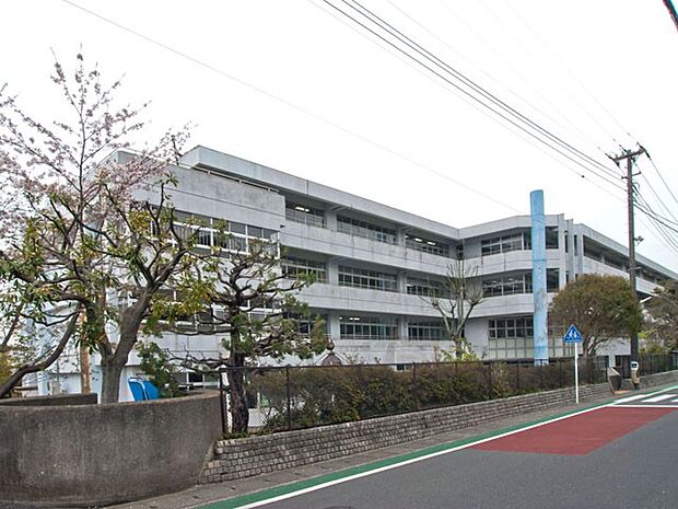 小学校 1100m 鎌倉市立小坂小学校