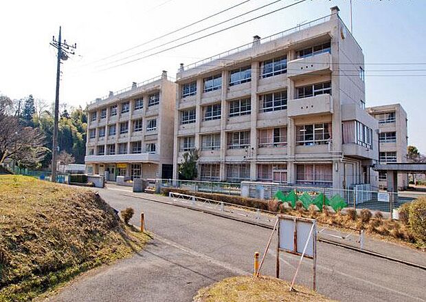 中学校 1200m 厚木市立玉川中学校