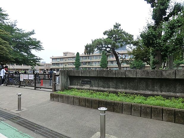 小学校 600m 相模原市立大野小学校