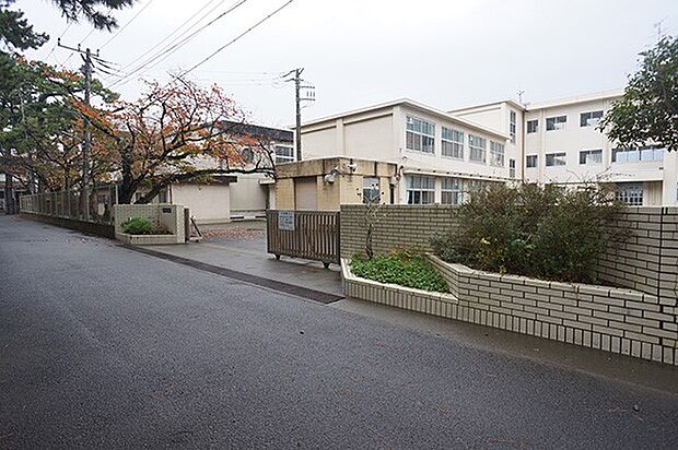 中学校 1900m 小田原市立白鴎中学校