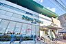 周辺：ニューヨークストア住吉店 425m