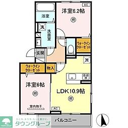 Gentiana　scabra 3階