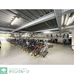 8 / 18