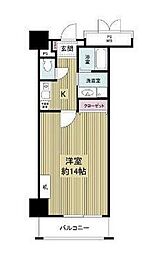 フォレステージュ天神 7階/-