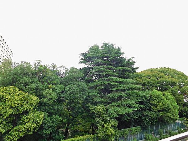 バルコニーからの眺望（眺望は永続的に保証されるものではありません）