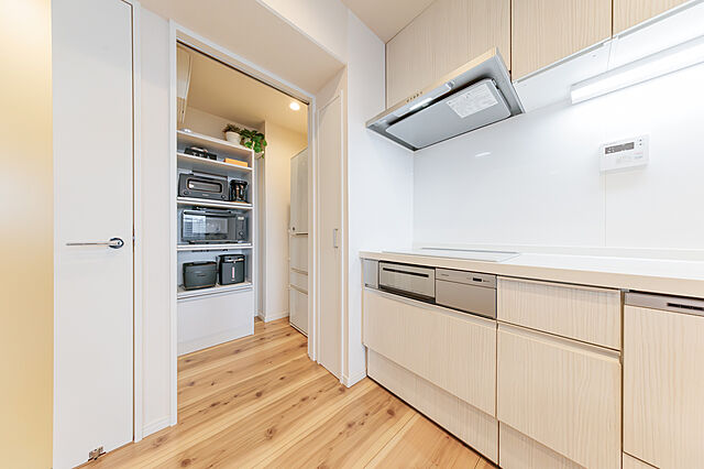 キッチン 晴海アイランドトリトンスクエアビュータワー 45階/-