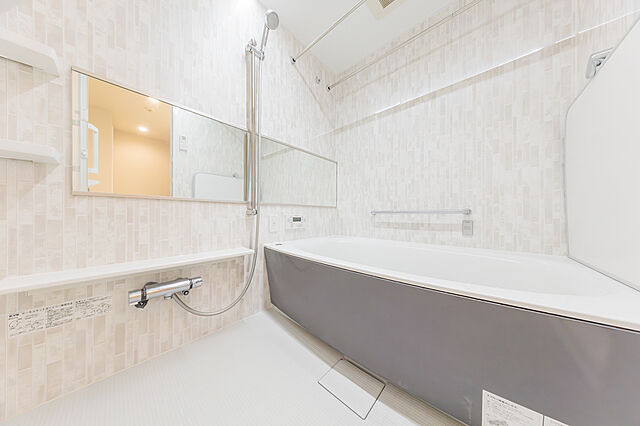 浴室 晴海アイランドトリトンスクエアビュータワー 45階/-