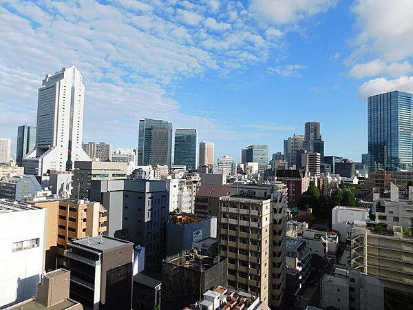 南側バルコニーからの眺望。眺望は永続的に保証されるものではありません。