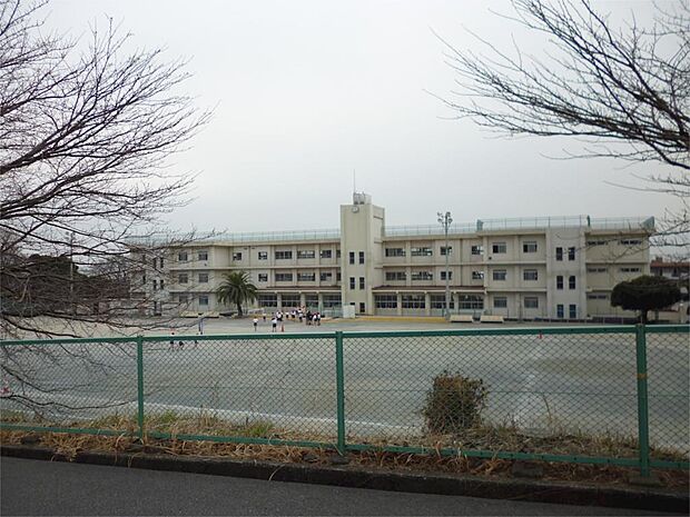 富士市立広見小学校（437m）