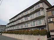マッシュハイム 4階 築41年の賃貸物件