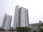 向島駅より徒歩7分 4階 築49年3ヶ月の賃貸物件