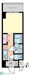 ドールマウスネオ 7階ワンルームの間取り
