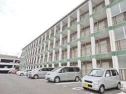 ポンデロッサ鶴見II