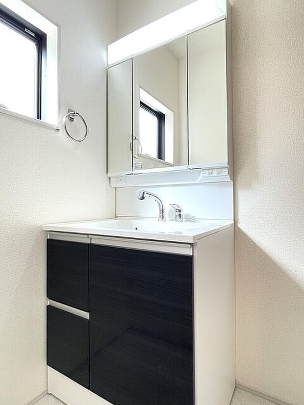 鏡裏にすっきり収納できるシャンプードレッサー