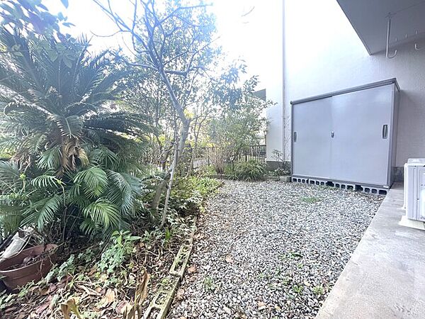 果樹が植わっている専用庭　ゆずとキンカンの木がありました