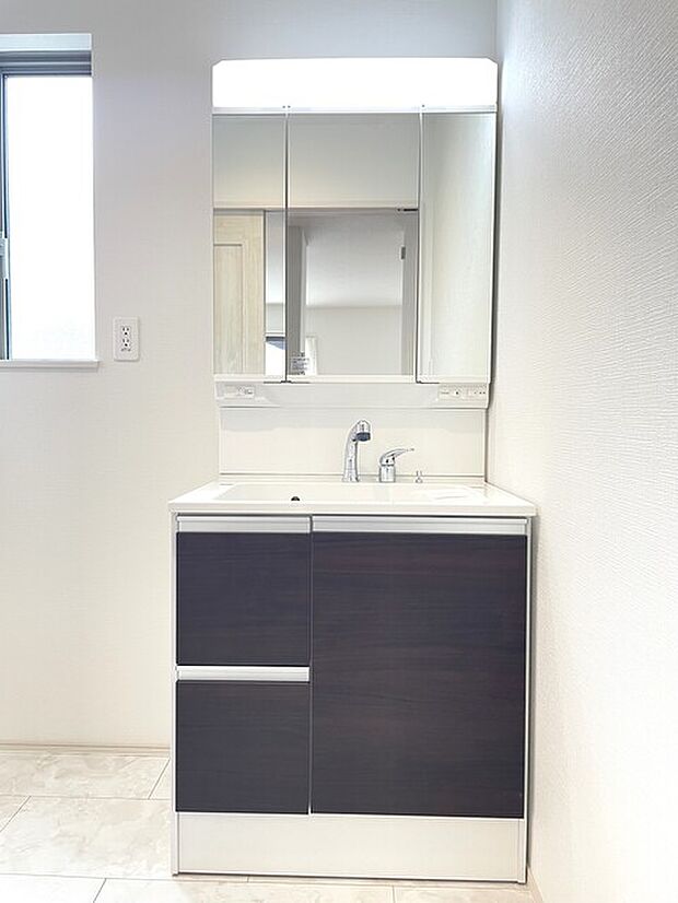 鏡裏にすっきり収納できるシャンプードレッサー