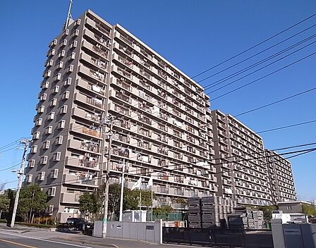 14階建て、総戸数312戸
