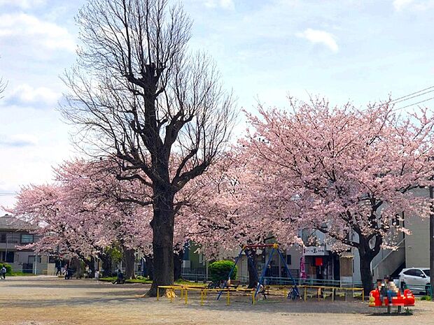 千葉市花園公園190m徒歩3分
