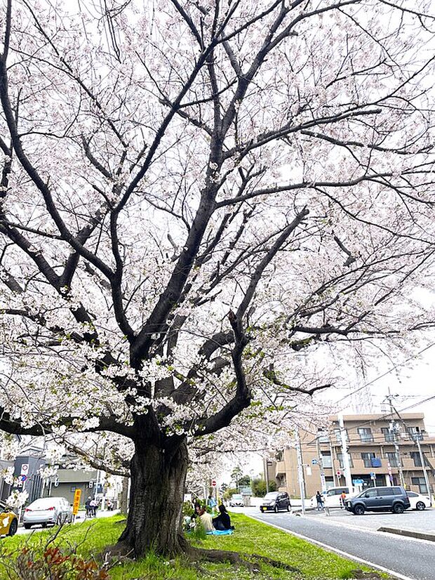 花園グリーンベルト140m徒歩2分