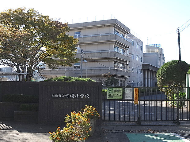 船橋市立市場小学校820m徒歩11分