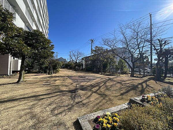 ゆとりのある敷地　