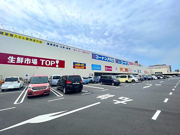 生鮮市場TOP コーナン京葉船橋インター店740m徒歩10分