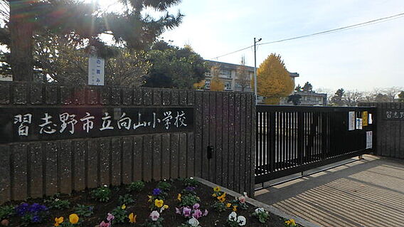 習志野市立向山...