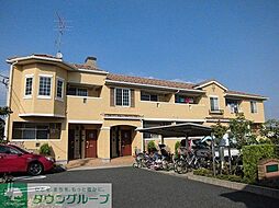 エレガンシア　III