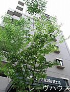 ピュアドームアクシアル天神の賃貸物件