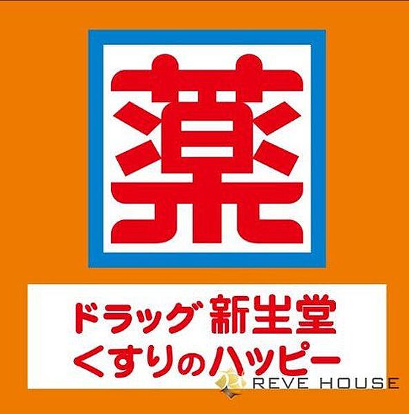ドラッグ新生堂高宮駅前店 徒歩12分。 900m