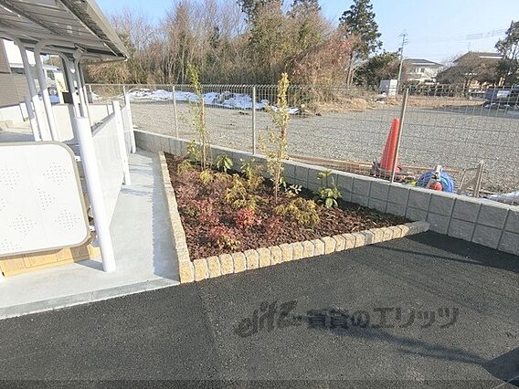 ヴィヴァレス_その他_5