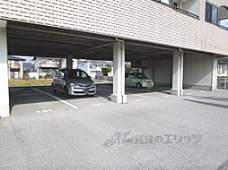 23 / 31