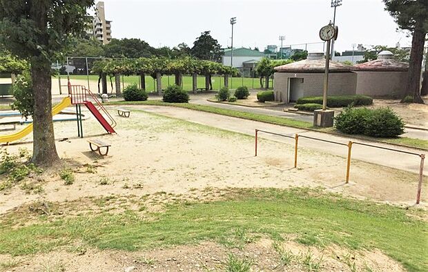 桜ケ丘公園(540m)