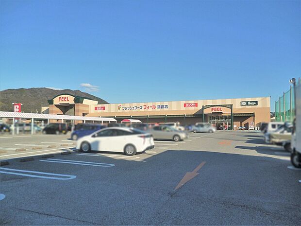 フィール蒲郡店（910m）