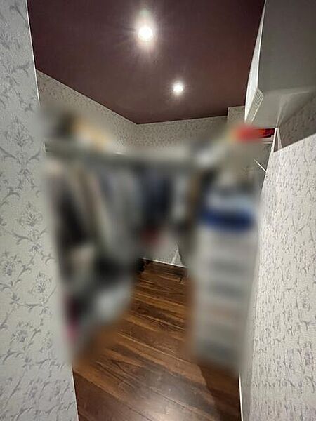 衣類のほか、スーツケースなども綺麗に収納できるウォークインクローゼット。