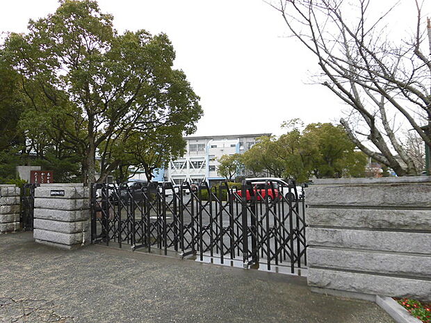 中央小学校(190m)