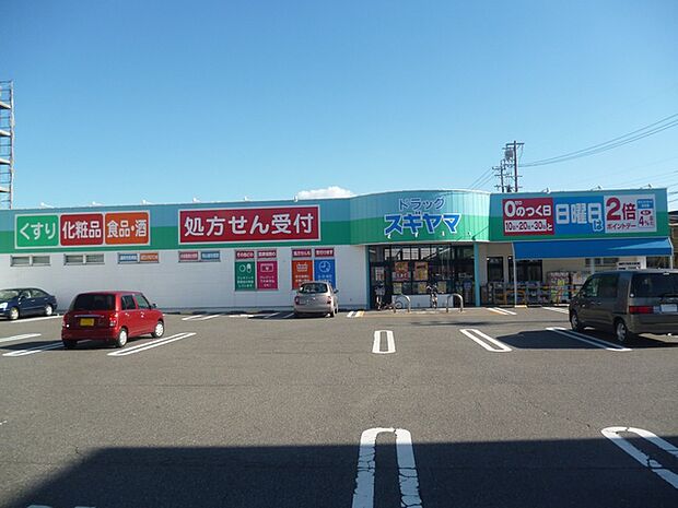 ドラッグスギヤマ 宝店(780m)
