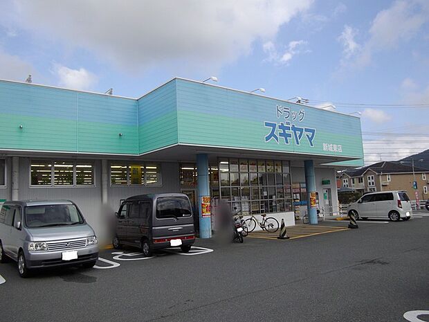 ドラッグスギヤマ　新城東店（380m）