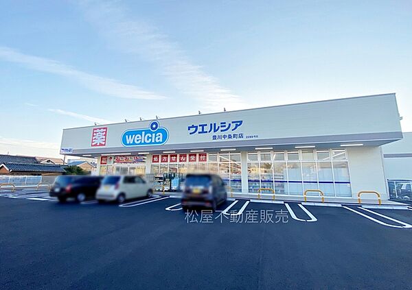 ウエルシア豊川中条町店（550m）