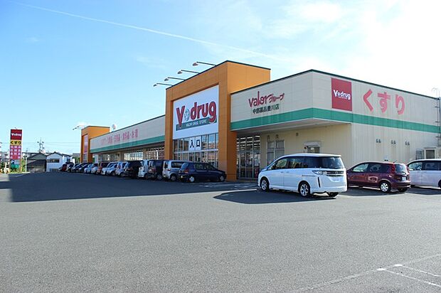 Vドラッグ豊川店(1160m)
