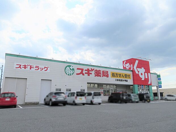 スギ薬局三谷北店（500m）