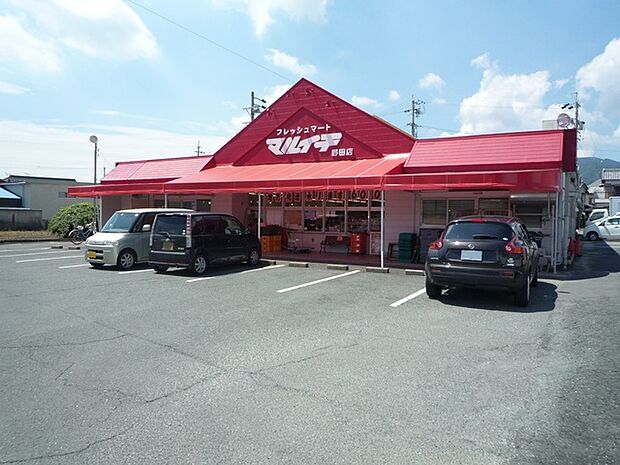 マルイチ野田店(560m)