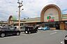 周辺：ドミー小坂井店（560m）