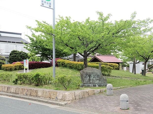 新井公園(350m)