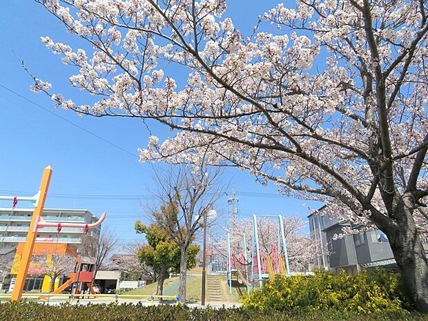 八百富公園(330m)