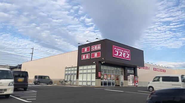コスモス八百富店（300m）