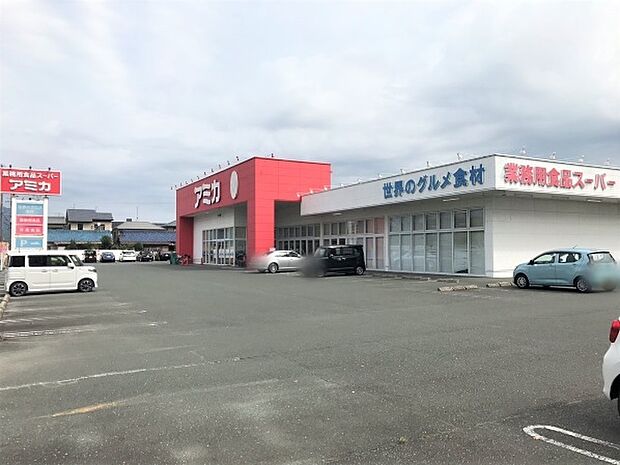 アミカ豊川店(660m)