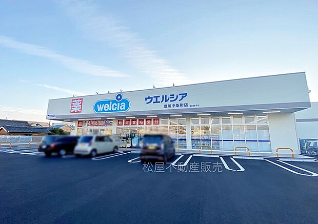 ウエルシア豊川中条町店（280m）