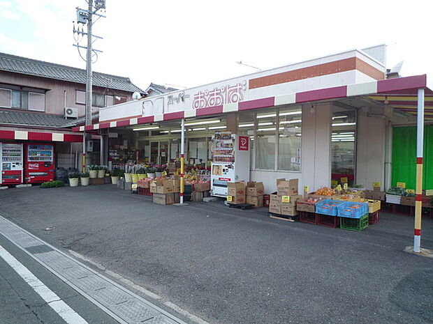 スーパーおおば（1260m）